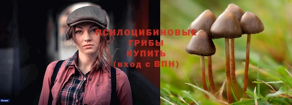 эйфоретик Богородицк